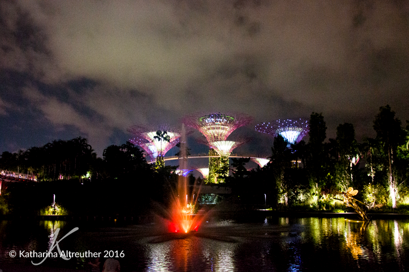 2016-May_Singapore_02_800