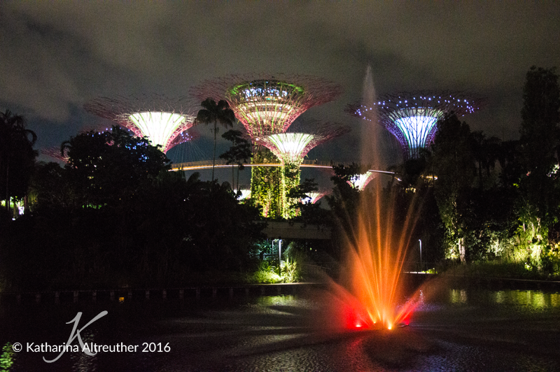 2016-May_Singapore_03_800