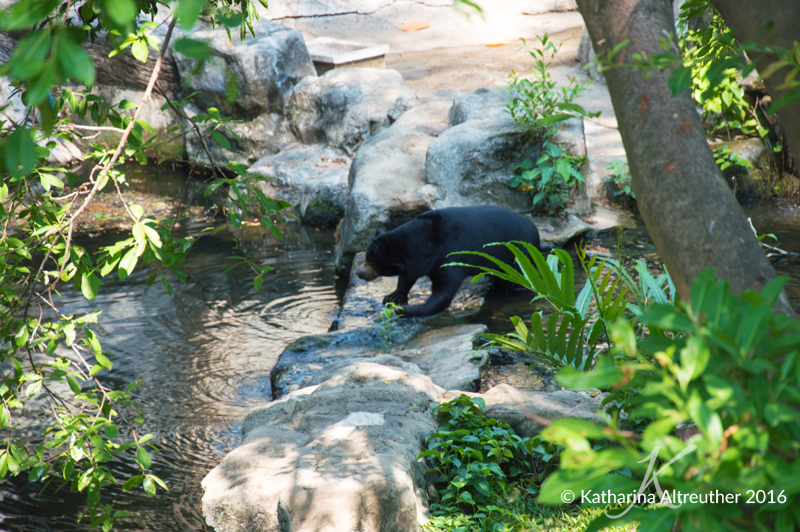 2016_May_Bangkok_98_800